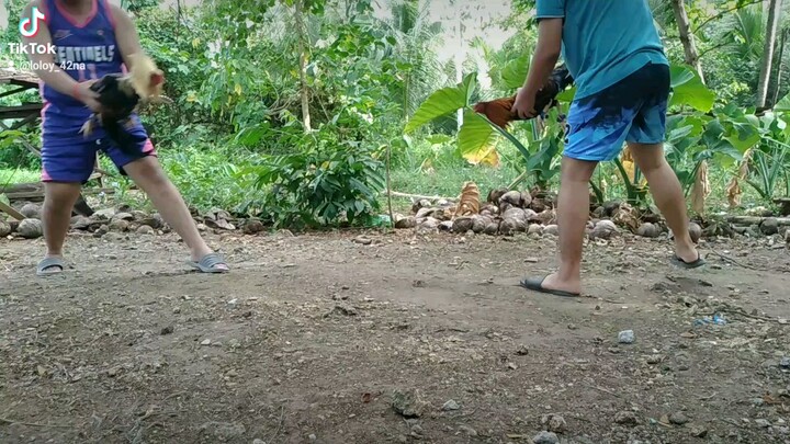 Pt.2
