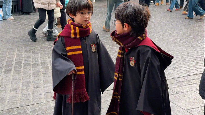The two little Harries who’ve been getting pestered for updates are here～