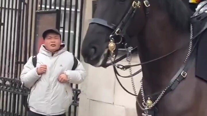 ความฮาแปลกประหลาด เมื่อทหารม้าอังกฤษด่าทอนักท่องเที่ยวญี่ปุ่น