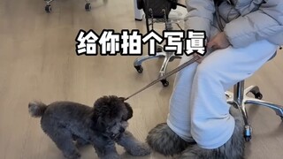 خذ صورة بؤبؤ العين مع كلبك أيضًا! لتبقى ذكرى في حياته الكلبية～