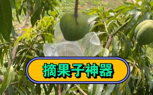 This fruit-grabbing gadget is seriously amazing!