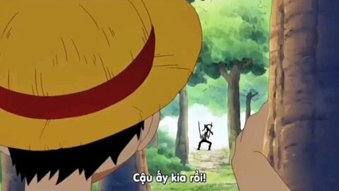 Luffy mũ rơm hảo