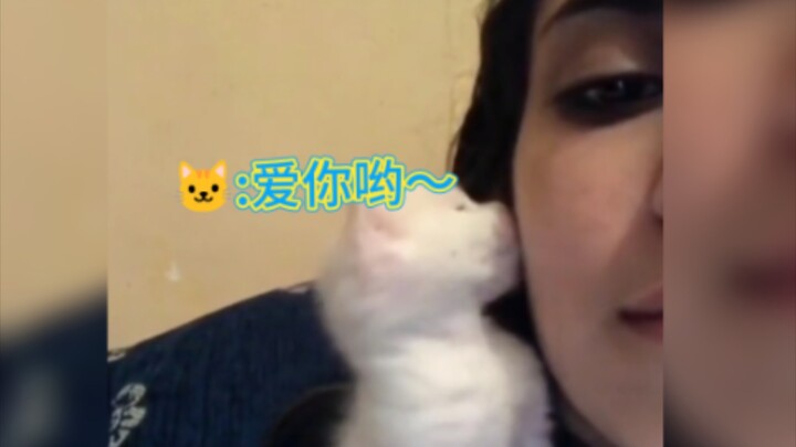 “Dunia ini hancur berantakan, selalu ada kucing kecil yang memperbaikinya”