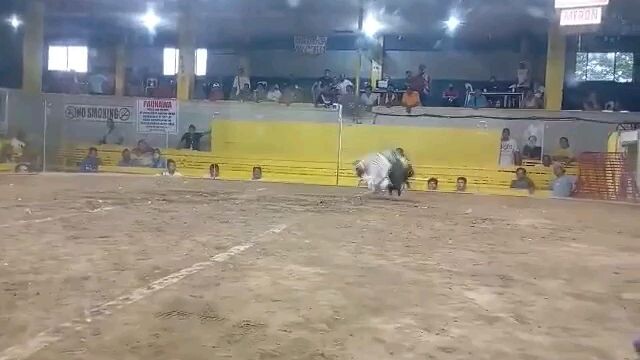 Kanawayon 1x winner patay nadali pa ngv sang kikig...