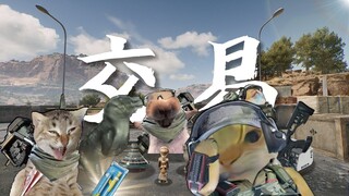 三角洲交易桥现状