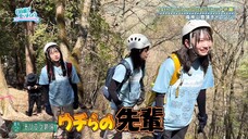 250518 Hinatazaka de Aimashou #313 Sub Indonesia