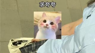 报告！人生第一次买彩票就中奖啦啦啦