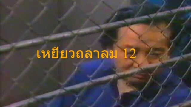 เหยี่ยวถลาลม12