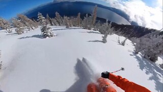 一颗追逐自由的心