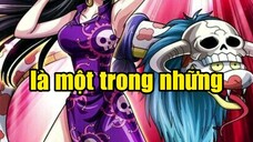 one piece những sự thật thú vị