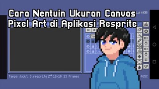 Secuil tips nentuin ukuran kanvas di Aplikasi Resprite untuk bikin Pixel Art