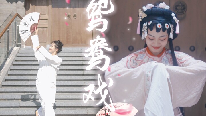 [Yuanyang Opera] Original Choreography｜❀"Oh my dear, don't worry, I will only hold your red sleeves 