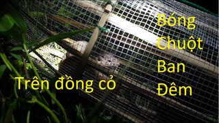 69 | Quê Hương Miền Tây | Săn Bắt | Ẩm Thực | Bóng chuột ban đêm trên đồng cỏ | mouse field