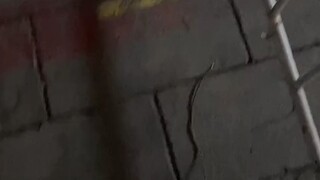 你那是冲着核酸去的么  我都不好意思揭穿你