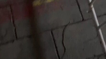 你那是冲着核酸去的么  我都不好意思揭穿你