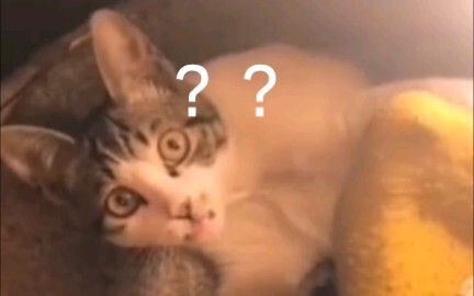 当你假装被咬疼时
