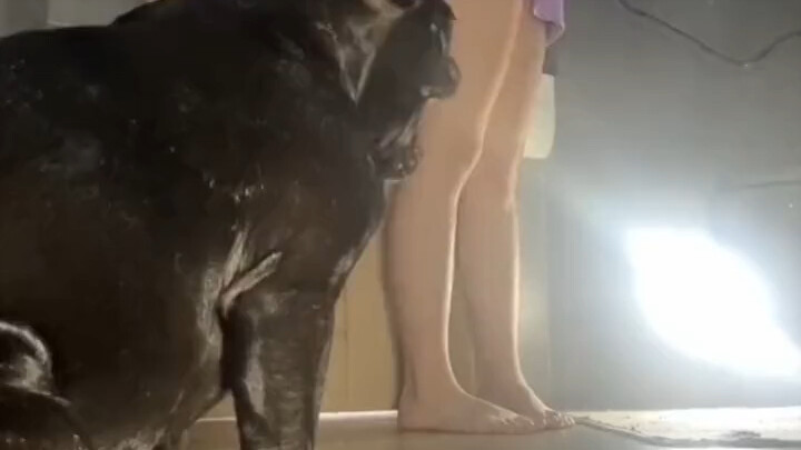 Xem đến cuối cùng