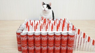 mèo chơi đùa với domino cola mentos