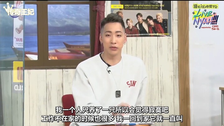 จิน รุย อิทจัง ไป รายการแมว