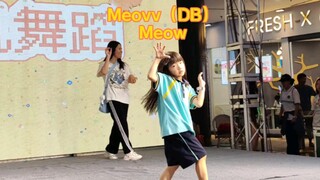 放学直奔随舞现场，感觉跳的不像猫咪，倒是像黑神话悟空，meow,meovv
