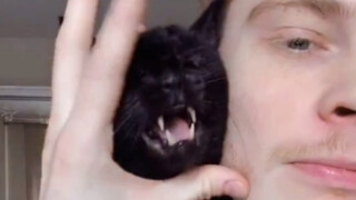 这只著名的俄罗斯猫是一位歌唱家