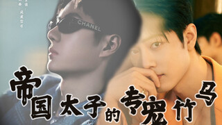[博君一肖|现代|ABO] 帝国太子的专宠竹马 17｜竹马竹马｜果断机智太子博 X 霸道未来太子妃肖｜架空世界 现代皇室｜不喜勿入｜勿上升真人