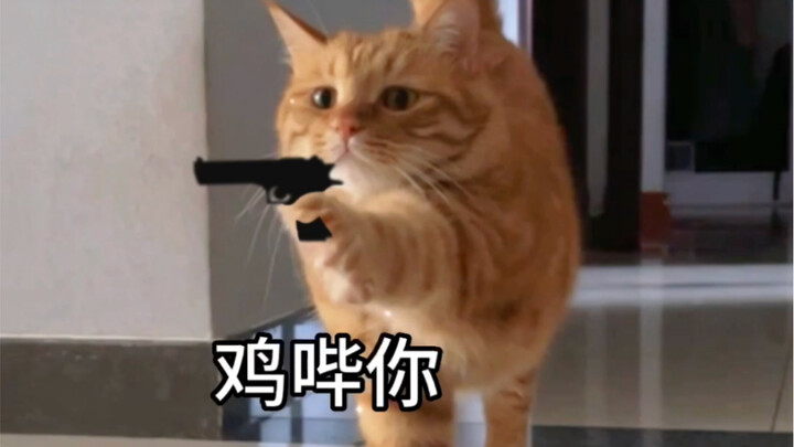 ĐM mày! (Mi: Đưa hết 3 cái like của các bạn ra đây) Phía sau có cả ảnh meme cắt thành hình vuông nữa