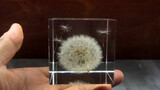 Simply store a flying dandelion