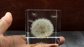 Simply store a flying dandelion