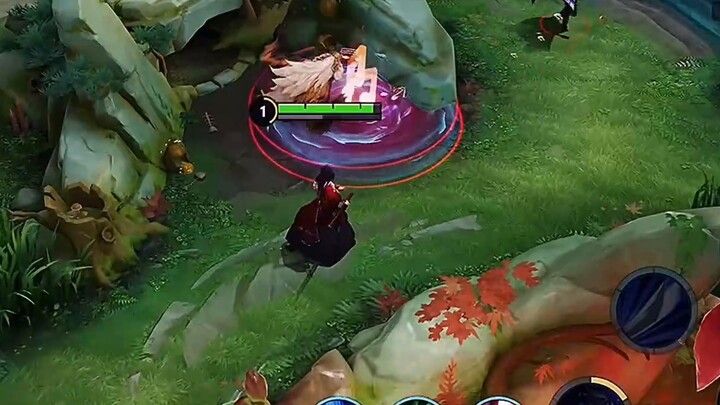 Đây là lần đầu tiên tôi chơi đi rừng với đường. Có phải rừng luôn như thế này không?