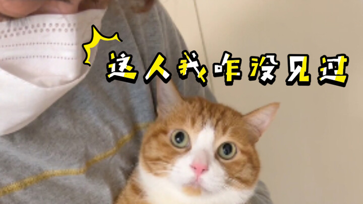After getting COVID, I stepped on Mimi the cat...