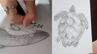 Adding Creativity Through Pencils