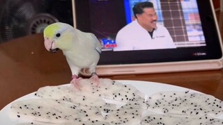 Multipurpose Chicken