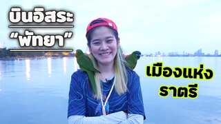 ปล่อยนกบินอิสระ จังหวัดชลบุรี กลุ่มนกบินอิสระพัทยา