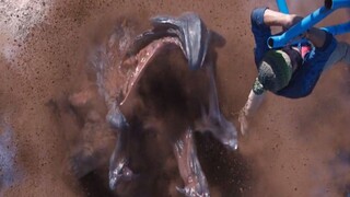 北极出现巨型地底生物，可以无限进化，还喜欢揪人裤子