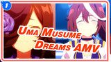 [Uma Musume AMV] Did You Realize Your Childhood Dreams? (Storyline)_1