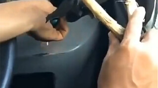 It's as if I'm hearing a cry of protest against the injustice of fate.