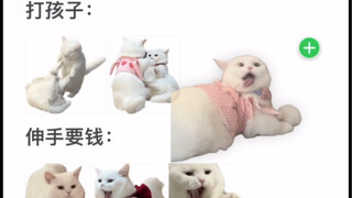 哈哈学会了，给你把罪证都记下来！