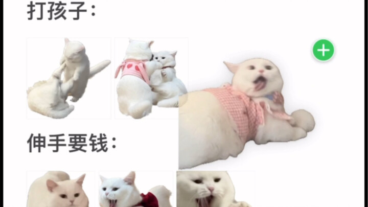 哈哈学会了，给你把罪证都记下来！
