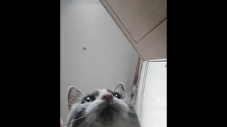 ชอบเลยสิ
