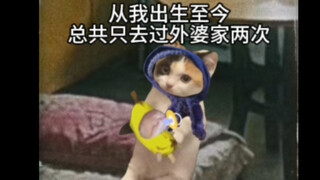 Memories of Grandma (video content from fan submissions)