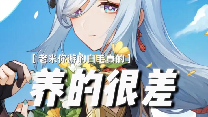 Why are all the white-furred characters from Lao Mi’s family such tragic beauties?