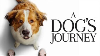 A Dog's Journey (2019)