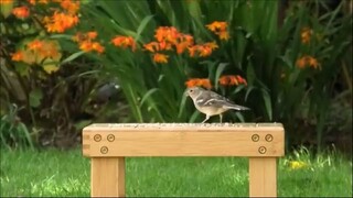 Praise and Worship Songs 2025 - Best Morning Worship Songs Playlist - I Speak Je