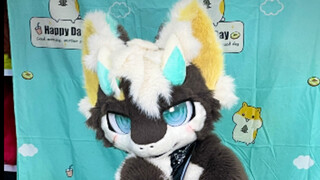 【Fursuit】Killer whale?