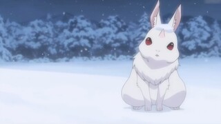 This video won't change your view of rabbits.