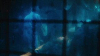 Desperate Sniper (2024) มือปืนสิ้นหวัง [ซับไทย]