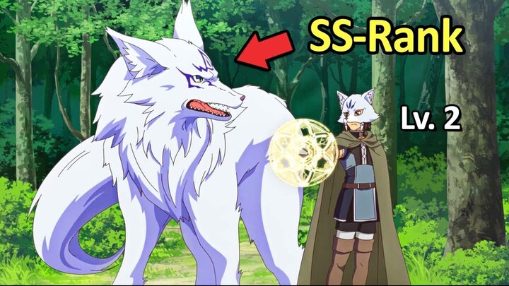 Thuần Hóa Sư Yếu Nhất Lại Sở Hữu Sói Qủy Cấp SSS | Tóm Tắt Anime Hay | Đại Đế Làm Anime