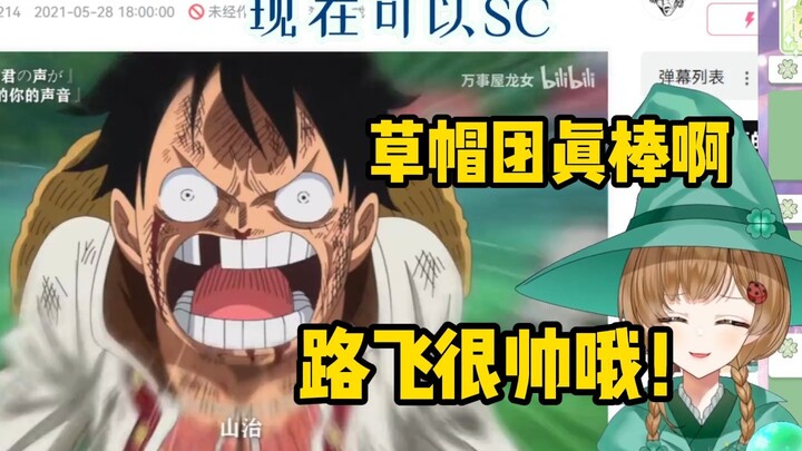 绿豆魔女看【海贼王神曲《Hope》！没有你 我就成为不了海贼王！】【花音-Hanon】