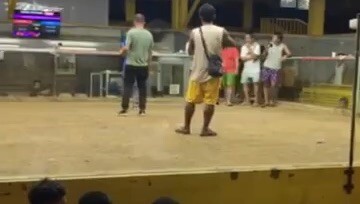2 hits Tanza Gallaria